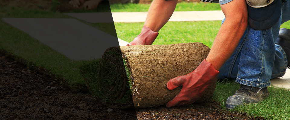 Pendleton Landscapers